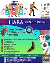 It is often an excellent idea to trap the entire hive. Hara Pest Control Service Trade Home Facebook
