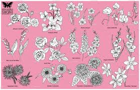 Birth Flowers For Each Month Birth Flowers Vector Illustrations Birth Flowers Aster Flower Tattoos November Birth Flower