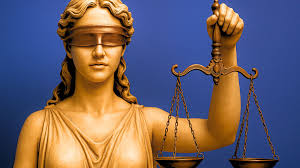 Image result for Justicia francoiseana