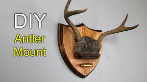 2 Diy Antler Mount How To Make Youtube Antler Mount Diy Antler Mount Diy Antler