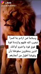 pin by anime on دروس تعلمتها من الحياه video in 2021 friends quotes movie posters poster