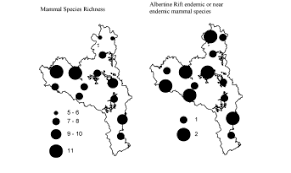 Image result for Pavetta pierlotii