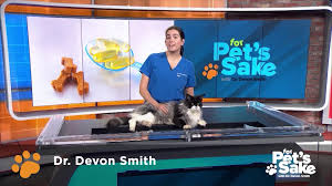 So that we can continue to provide you high quality service utilizing the best medical technologies, we require that payment be made at the time services are rendered. Omaha For Pet S Sake News Weather Sports Breaking News Kptm