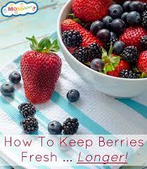 We did not find results for: How To Keep Berries Fresh In The Refrigerator Make Them Last
