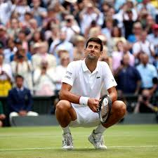 Talking about the novak djokovic family, the serbian is blessed with two children son stefan djokovic and daughter tara djokovic with wife jelena djokovic. Novak Djokovic Was Haben Tennis Fans Bloss Gegen Den Grossen Champion Stern De