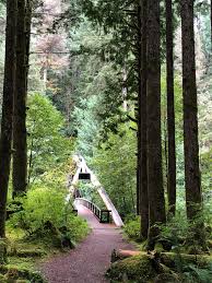 Maybe you would like to learn more about one of these? Middle Fork Campground Near North Bend Wa Snoqualmie Mt Baker Great Hikes But There Are Bears Be Prepared This Bridge Is Near The Day Use Picnic Area Neat Suspension Design Campground Is One