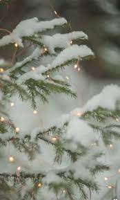 All photography are in high resolution for all latest generation smartphones, desktop pc, notebook, tablets, smartwatch and more. Pin By Krystal Peters On A Family Affair Christmas Aesthetic Winter Christmas Christmas Wallpaper