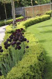North End Garden Design Oxfordshire Garden Design Classic Garden Landscape Design