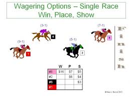 Win Place Show How To Bet On Horses Getting Out Of The