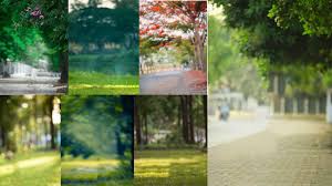 Download the perfect photoshop pictures. Download Best Natural Photo Editing Background Awesome Natural Background Download Youtube
