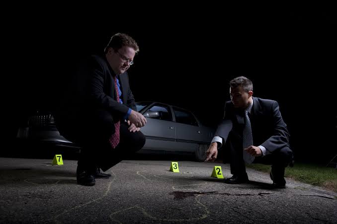 DETECTIVE LEVEL I-Investigations