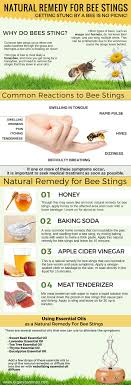 Pin On Bee Stung Aid Kits