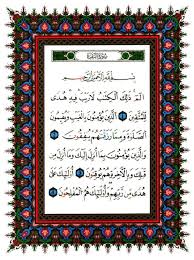 pin on ربيعة