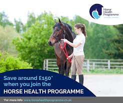 When combined with traditional psychotherapy, activities involving horses can help people suffering from a range of mental conditions, including depression and adhd. Horse Health Programme Valley Equine Hospital