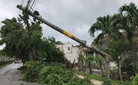 We did not find results for: Huracan Delta Dejo Un Muerto Tras Su Paso Por Yucatan