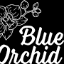 Blue Orchid from www.blueorchidnc.com