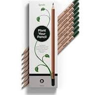 Wood-free Pencils (Pack Of 10)
