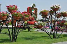 Madeira Island Gardens Madeira Is Famous For Its Gardens Full Of Colorful Flowers And Trees And Shrubs Of Various Species Jardim Botanico Portugal Jardim