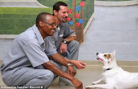 Adair county humane society, along with other animal shelters and animal advocate groups statewide partner with missouri department of corrections to offer puppies for parole. Puppies For Parole How Rescue Dogs Are Helping Convicts Rehabilitate And Win Chance Of Early Release Daily Mail Online