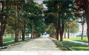 Old Postcard Of The Avenue At St Mary Of The Woods College Saint Marys College Saint Marys Irish Fans