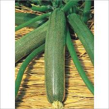 Maybe you would like to learn more about one of these? Hybrid Zucchini Seeds Supplier Hybrid Zucchini Seeds Exporter