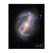 About 60% of the width of the milky way. Barred Spiral Galaxy Ngc 6217 Photograph By Science Source