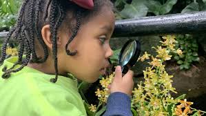 Find family-friendly events at Franklin Park Conservatory this summer