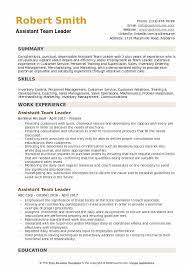 This means you should alter your cv slightly for each new position you apply for. Assistant Team Leader Resume Samples Qwikresume