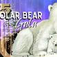 2025 Polar Bear Gala event image