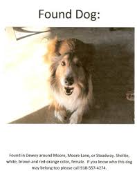 We strive to engage all prospective adopters in a. Animal Rescue Foundation Of Bartlesville Lost Found Archives