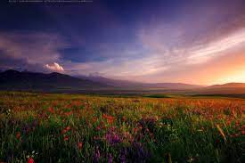Pin By Jelena On Beautiful Places Landscape Photography Landscape Beautiful Landscapes