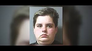 Woman accused of bribing daughter to lie to police about alleged battery