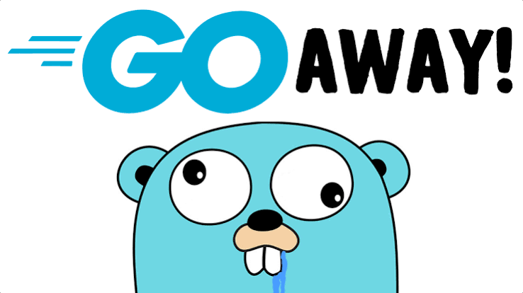 Why I dislike Go