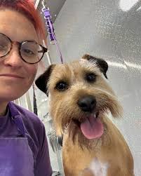 What a busy days it's been and the only photo I get is a selfie with Toni.  Ps- I'm sorry to all the dogs today that didn't get bows. I haven't had