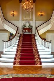 Choosing the right carpet can defend against your dog or cat's best shot at taking it down. 13 Adorable Carpet Cleaning Machine Hydrogen Peroxide Ideas Carpet Stairs Deep Carpet Cleaning Carpet Cleaning Machines