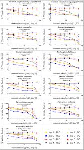 Image result for Sesamum calycinum