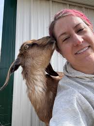 Alva Serengeti Estates recommendations needed