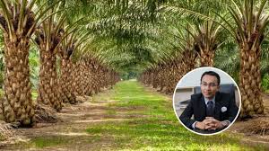 Tandanya pisang jangan sampai membentur tanah agar tidak trusak. Peguam Hartanah Kongsi Cara Nak Settle Tanah Pusaka Banyak Nama Bahagian Makin Mengecil Maskulin