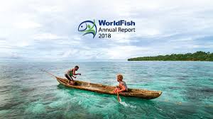 In 2018, we continued to review our systems and procedures to further improve. Worldfish Annual Report 2018
