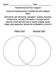 Animal cell vs plant cell comparison chart. Animal And Plant Cell Comparison Worksheets Teaching Resources Tpt