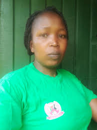 Nigeria's Political Impeachment and Democracy