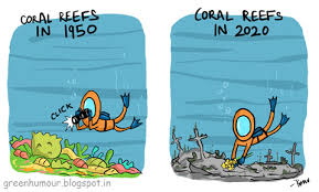 Biscayne national park coral reef food web reef shark grace carreno dr. There May Still Be Hope For Coral Reefs Environmental Assessment