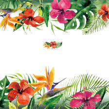 Flower Pattern Flower Vector Flowers Flowers Vector Material Natural Tropical Flowers Pattern Posters Tropic Vector Flowers Flower Painting Flower Illustration