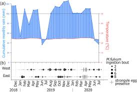 Image result for Manniophyton