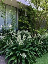 Landscape Gardening Cardiff Although Landscape Gardening Courses Edinburgh Shade Garden Native Garden Tropical Garden