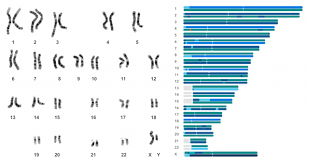 Meet Your Chromosome Painting 23andme Blog Chromosome Dna Results Genealogy History