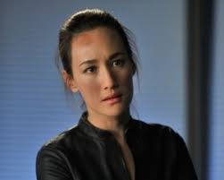 Nikita Season 2 Finale Preview