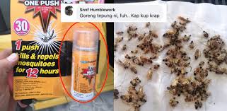 Maybe you would like to learn more about one of these? Modal Hanya Kurang Dari Rm10 Lelaki Ini Kongsi Cara Mudah Nak Bunuh Lipas Dalam Kereta Cibai Kia