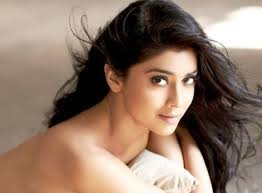 Text is available under the creative. Top 15 Hottest South Indian Actresses Actress Of South Indian Movie