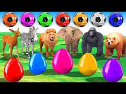 Animals Soccer Balls Colors Video For Kids Bunny Surprise Eggs Animals Cyy23y3u8e3u4ikkwkc C C C Zarpas Encima Encima 9 Animals Wild Animals Cartoon Animals